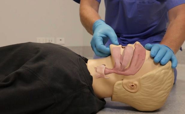 Perform Basic Life Support (BLS) on an Adult