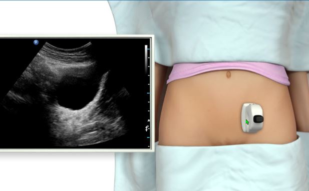 Ultrasound Assessment During the First Trimester for Medical P...
