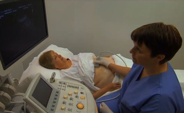 Ultrasound Assessment of the Gastrointestinal (GI) Tract for M...